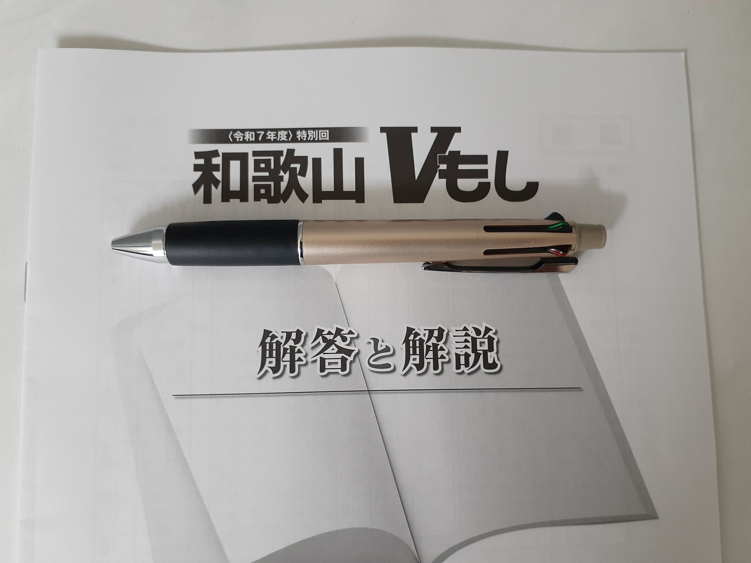 和歌山Vもし特別会2025Tavyブログ